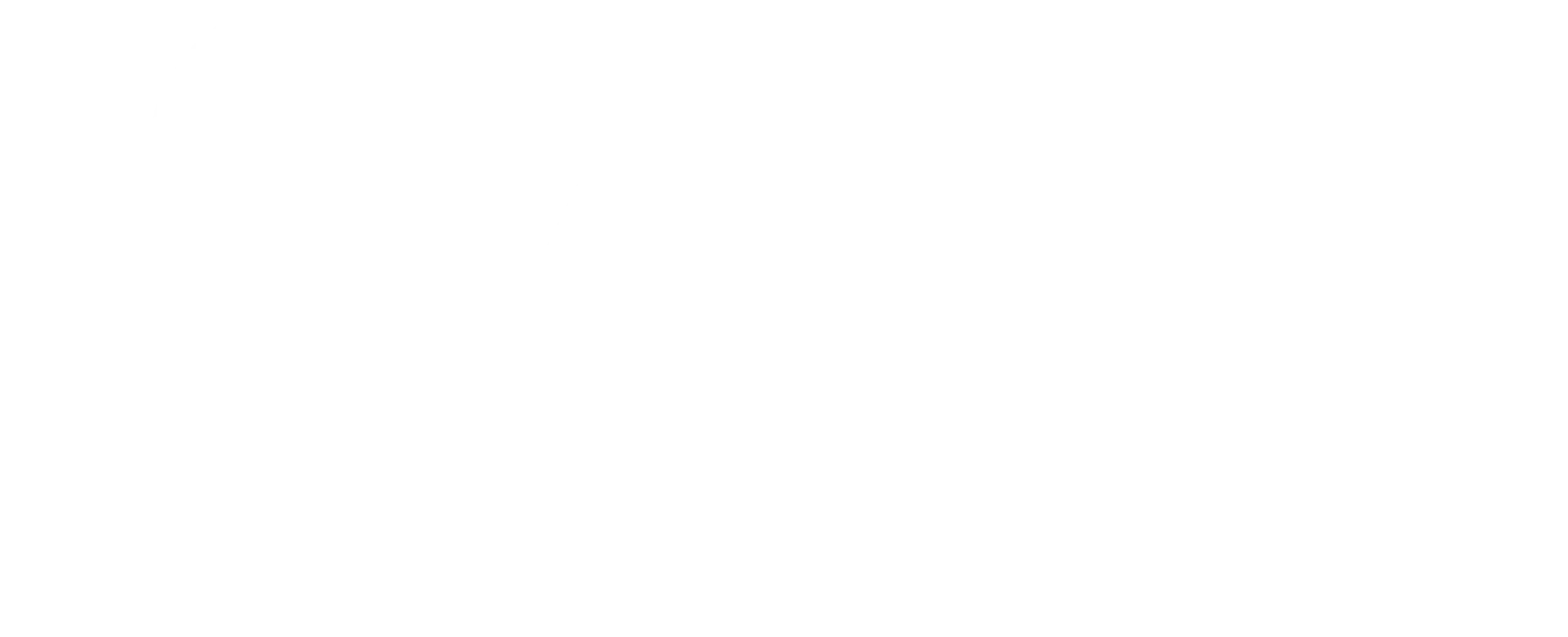 Logo New Five2one White